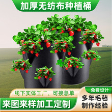 ���R�d��ݮ�Nֲ��grow bag�Ӻ�o�����NֲͰֲ�����L�������Nֲ��