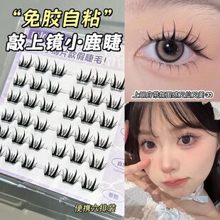 faiccia~��ϫС��Ƭ��ճ ���z����С¹�޼ٽ�ë��ж������Ȼ��