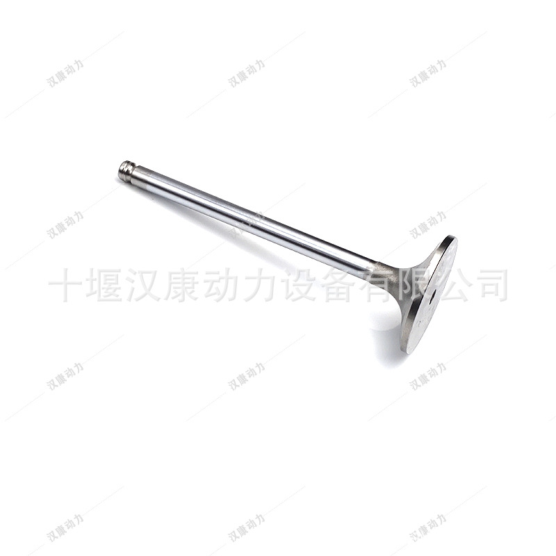 Suitable for Cummins 6Ct Engine Accessories Valve 3924492