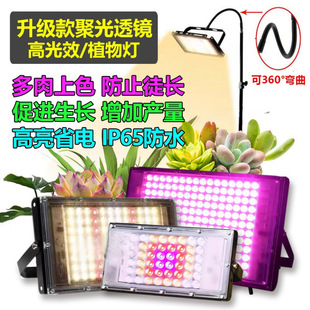 Sunlight led plant fill light growth light full spectrum fleshy greenhouse vegetable flower seedling 110v220v