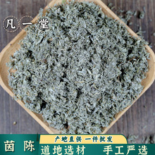 凡一堂 茵陈 茵陈 茵陈蒿 茵陈草 茵陈 地锦草 红枣 五味子