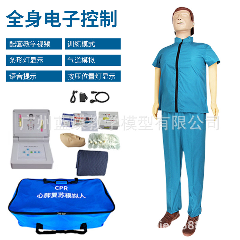 ȫ����Ƥ��CPR�ķθ���ģ���˹��������༱��ѵ�������ѧģ��