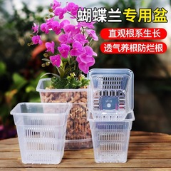 控根方盆兰花盆栽正方形塑料花盆透气透光观根盆定植篮水培盆批发
