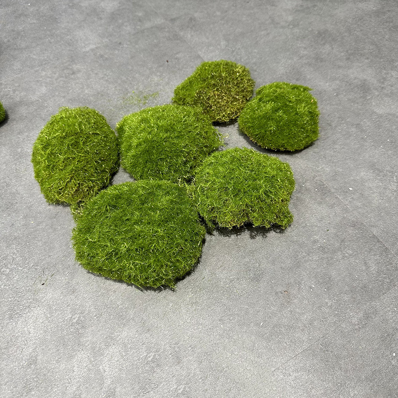 A pack of 6 pieces of moss grafting