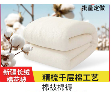 公司介绍--爆品推荐_13