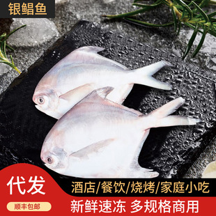 �y�K�~���r��������K�~���~ƽ�~�c�~���~���rˮ�a���l�ǽ��K�S�~