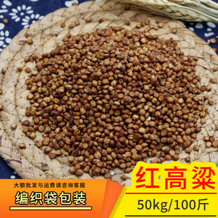 �|��Ŵ�����t����������s�Z��Ƥ؛Դ�������lܛŴɢ�bС�׃��|