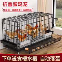 鸡笼子大号养鸡笼子家用室内滚蛋鸡笼自动出蛋母鸡笼鸭笼鹅垒德株