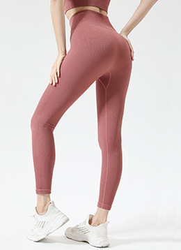 Seamless Wide Band Waist Sports Leggings NSOUX48170