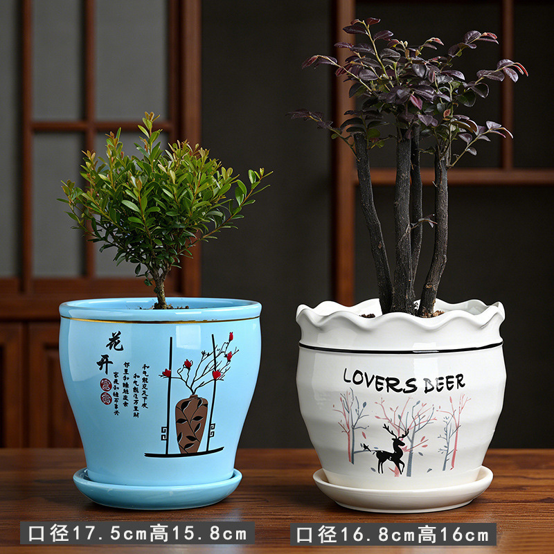 Kw+world forest 2