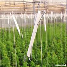 �����h�����S�����t�����h���������ѵ������h����