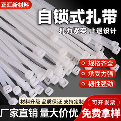ナイロンケーブルタイメーカー直販セルフロック式白黒固定ベルト包装プラスチックケーブルタイ在庫あり4*200