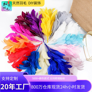 �S��ֱ�N�Zëܛ�h��ë�F�z���^��b�Y�������̨������ë�l�