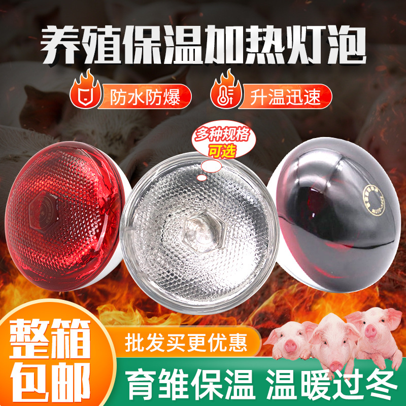养殖场加厚仔猪用保温灯泡取暖防水防爆兽用保暖养殖取暖发热灯泡