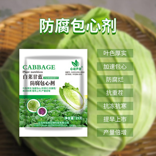 Cabbage and Cabbage Encapsulating Agent Increasing Yield, Fertilizer, Preservative, Rotten Resistance, Cropping Resistance, Disease Prevention, Rotten Root Stand-up, Wilt, Gray and Rust Prevention