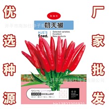 Nӡ1ˡС׽ָ콷߮aS߲˷Nl