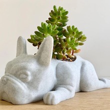 Resin Dog Succulent Planter ţȮͿɐ辰֬