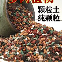 多肉颗粒营养土植物透气泥炭种植土铺面石土盆栽叶插纯土石头