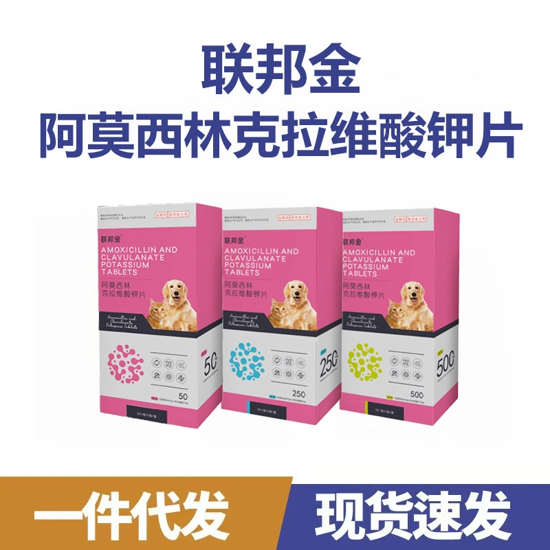 Федеральный золотой амоксицилин с клавуланатом калия таблетки для собак и кошек при бронхите, кашле и насморке
