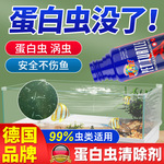 鱼缸除蛋白虫清除剂龟草缸驱除剂神器涡虫克星观赏鱼去线虫肠虫剂