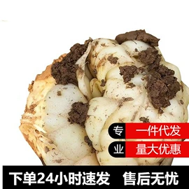 其他水果;块茎类;苹果