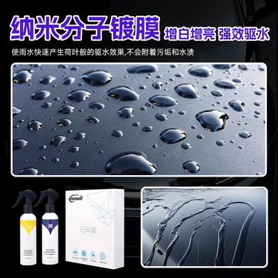 Cleaning/curing agent Kit, Paint Coat Maintenance Solution