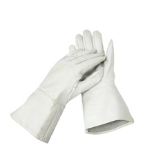 ���L��ţƤ늺��������׸����L���ձ��ڱ��и���\܇�g�S�޻���