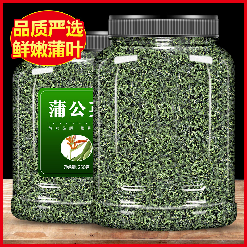 蒲公英茶叶1斤通女性乳腺整根干浦公英根茶泡水野生散结