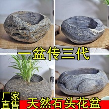 石头盆花花多肉鹅卵鱼缸水培复古高花厂家代发厂家直销一件批发