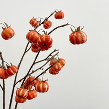 ��ꖷ���10��С�Ϲ�ˮ��������ϹϼҾ��b�c����{���ٻ��F؛