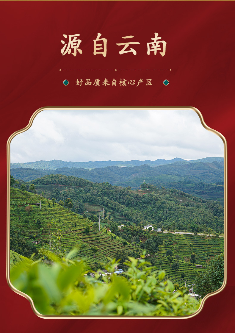 有机普洱熟茶-357g详情切片_03.jpg