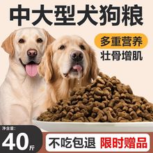 �д���Ȯ���Z����������b��ë����ڱ���������Ȯ�në�a�}��Ȼ�Z