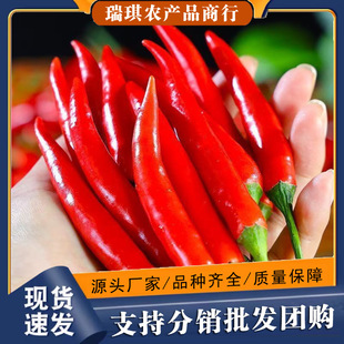 ���ڼtС�׽�9���������r���콷����⽷10���l5���]��������