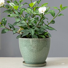 �Ӻ����մɼ��Î����w�бP�ش�̖���滨�ܾG�}�����m����Gֲ��