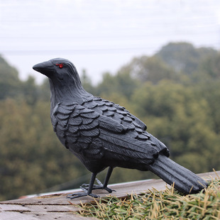 �羳�@�ք����f�}���b�Ʒ����ڞ��f�w�Bϲ�o���B�T�D�S�����l