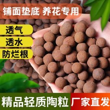 陶粒垫底养花专用多肉土盆栽铺面石花盆水培透气陶土粒回填卫生间