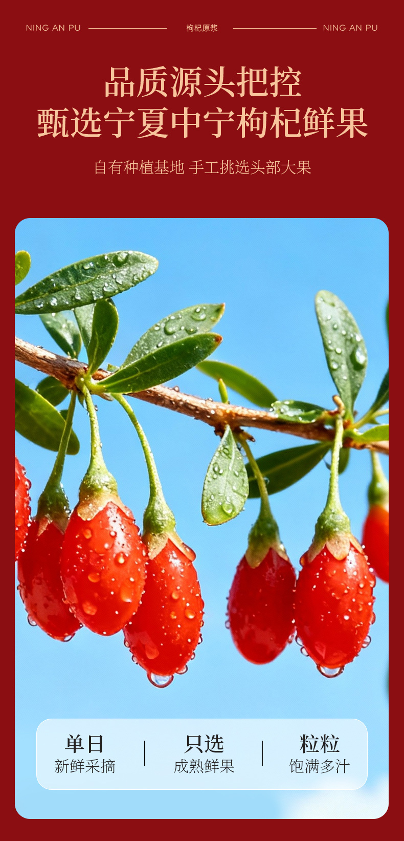 Fresh Goji Berry Puree 800ml Ningxia Zhongning Goji Original Juice Gift Box quality and texture