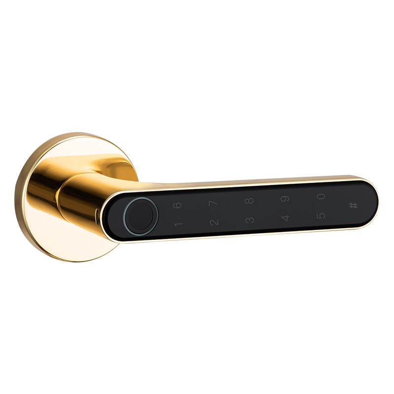 Cerradura de Huella Digital para Puertas de Madera, Cerradura de Código Esférica para Puerta, Cerradura de Huella Digital Semiconductor para Interiores TTLOCK con Protección contra Grafitis.