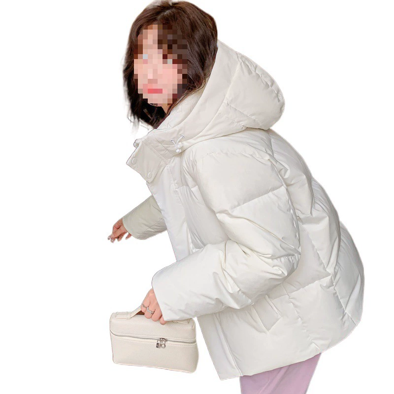 Down jacket, velvet winter hoody, 2024 years, Korean style, for teenagers, loose fit, oversize, increased thickness, duck down