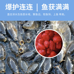谷道香無皮紅麥草魚鯉魚翹嘴釣魚小藥野釣黑坑掛釣免拌釣魚魚餌料