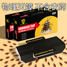 外贸黑色英文蟑螂屋强力粘蟑螂板诱饵捕捉器厨房诱捕器工厂批发