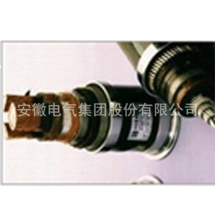 ҹӦ  ƵרñƵ ͸±Ƶ