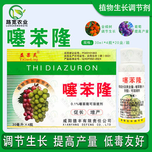 ����` �籽¡���Ѵ�������`���籾¡��󄩴��M���L�{���� 30ml
