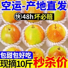 ���������ڼt�������½��������rˮ����Ƥ�����������l�ЋD���]