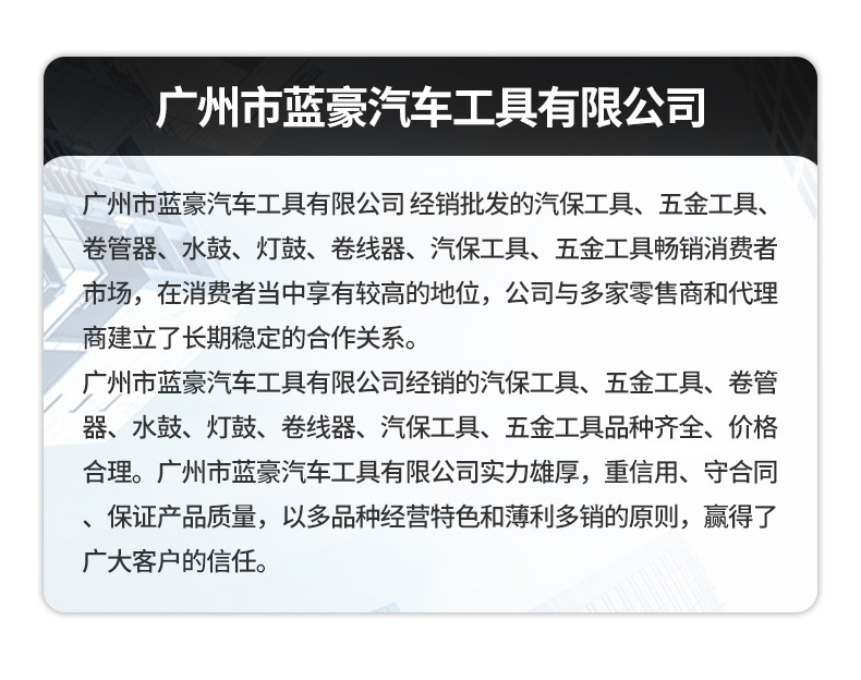 汽车引擎点火正时枪_15