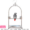 Gold/Silver Hanging Station Stainless Steel Parrot Station Bird Cage Bird Bird Bird Bird Bird Bird Bird Bird Bird Bird Birds Bird Birds Little Sun Diamond Parrot Shelf