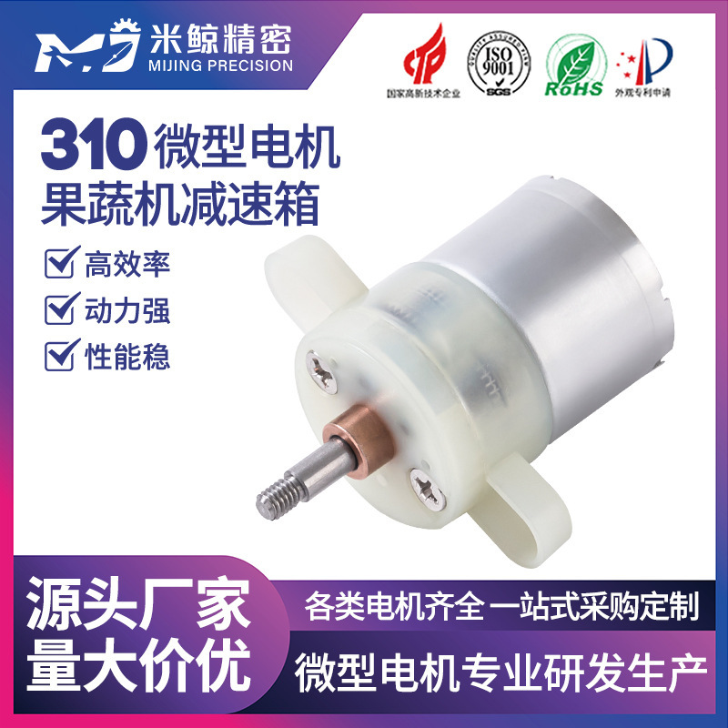 310 Micro Motor Fruit and Vegetable Machine Reduction Gearbox High-Efficiency Dc Motor Juice Extractor Reduction Motor Wholesale