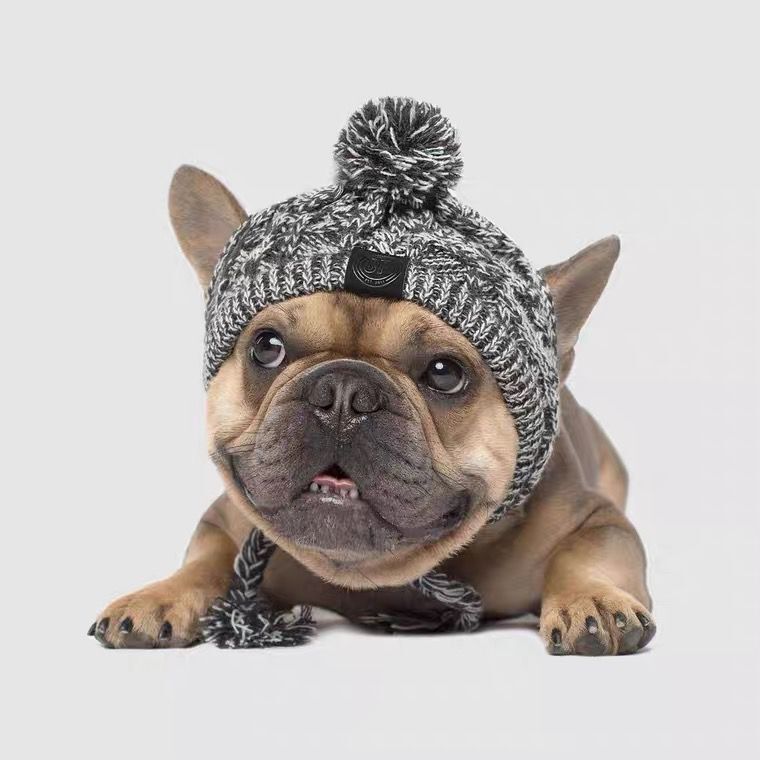 Sombrero de lana para mascotas pequeños, orejas expuestas, abrigo para invierno y otoño, ideal para French Bulldog y Pug