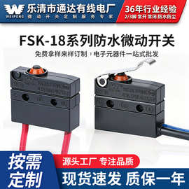 防水微动开关FSK-18 WEIPENG 医疗器械微动开关 小电流微动开关