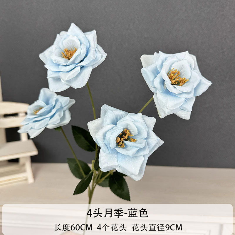 4 로즈